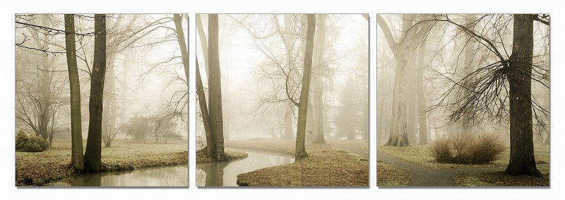 24" Multicolor Canvas 3 Panels Photo By Homeroots - 284011