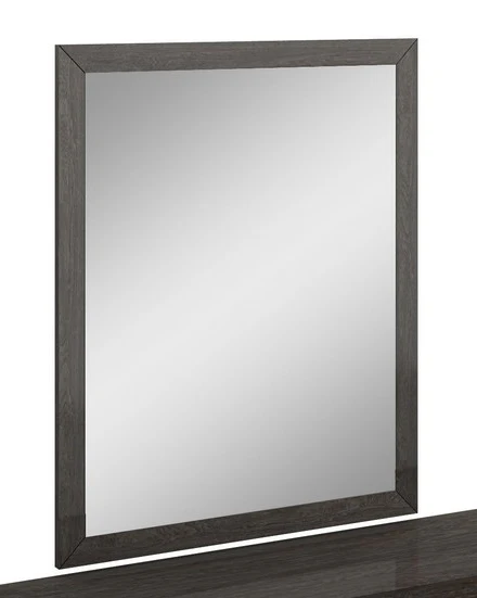 43" Refined Grey High Gloss Mirror By Homeroots