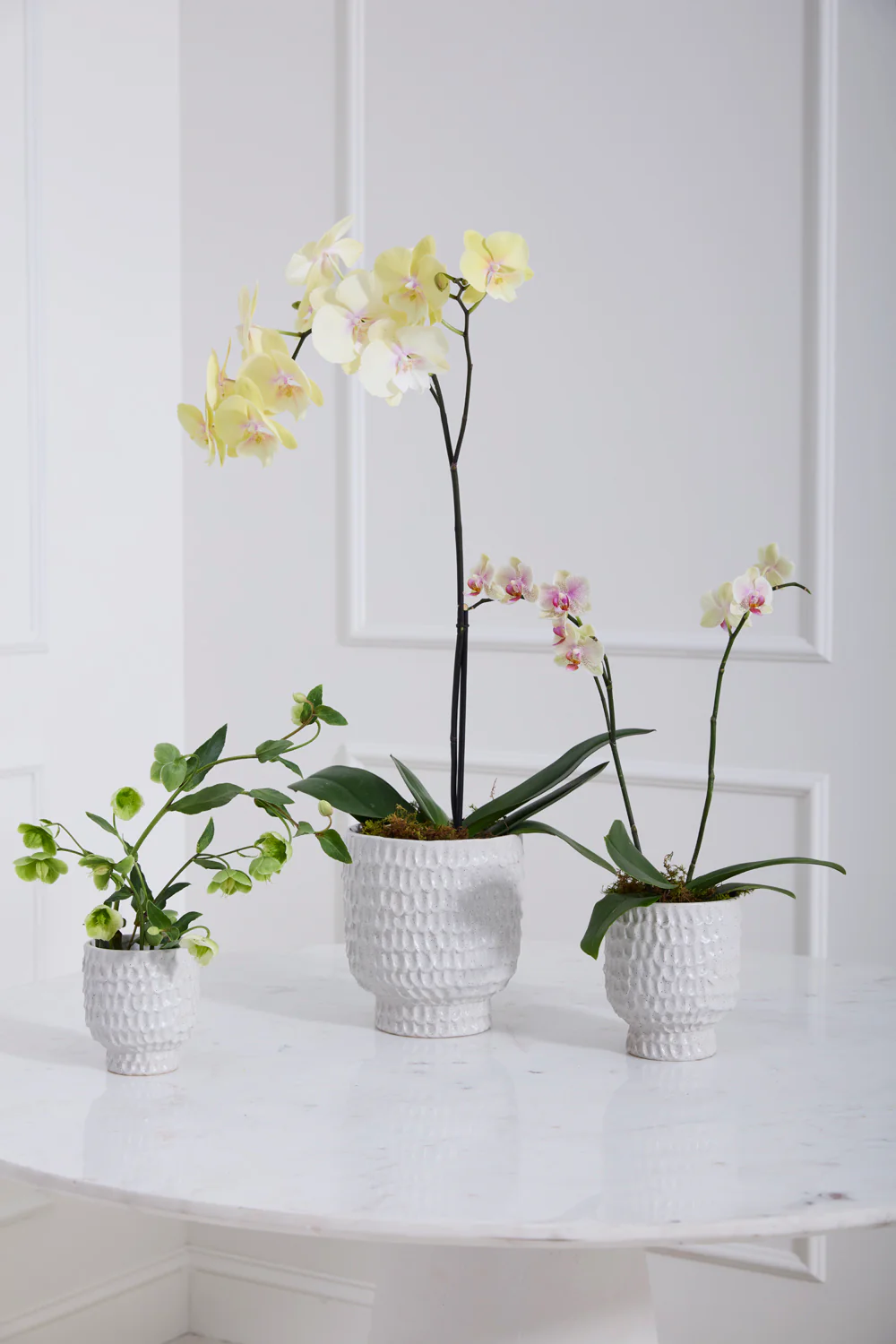 Adrien Pot Set of 4 By Accent Decor - Image 3
