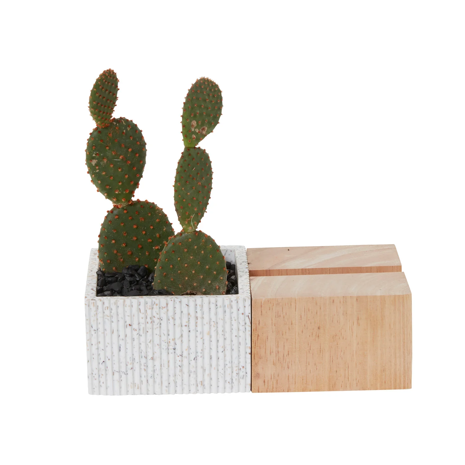 Aravalli Phone Stand Planter Set of 2 By Accent Decor - Image 6