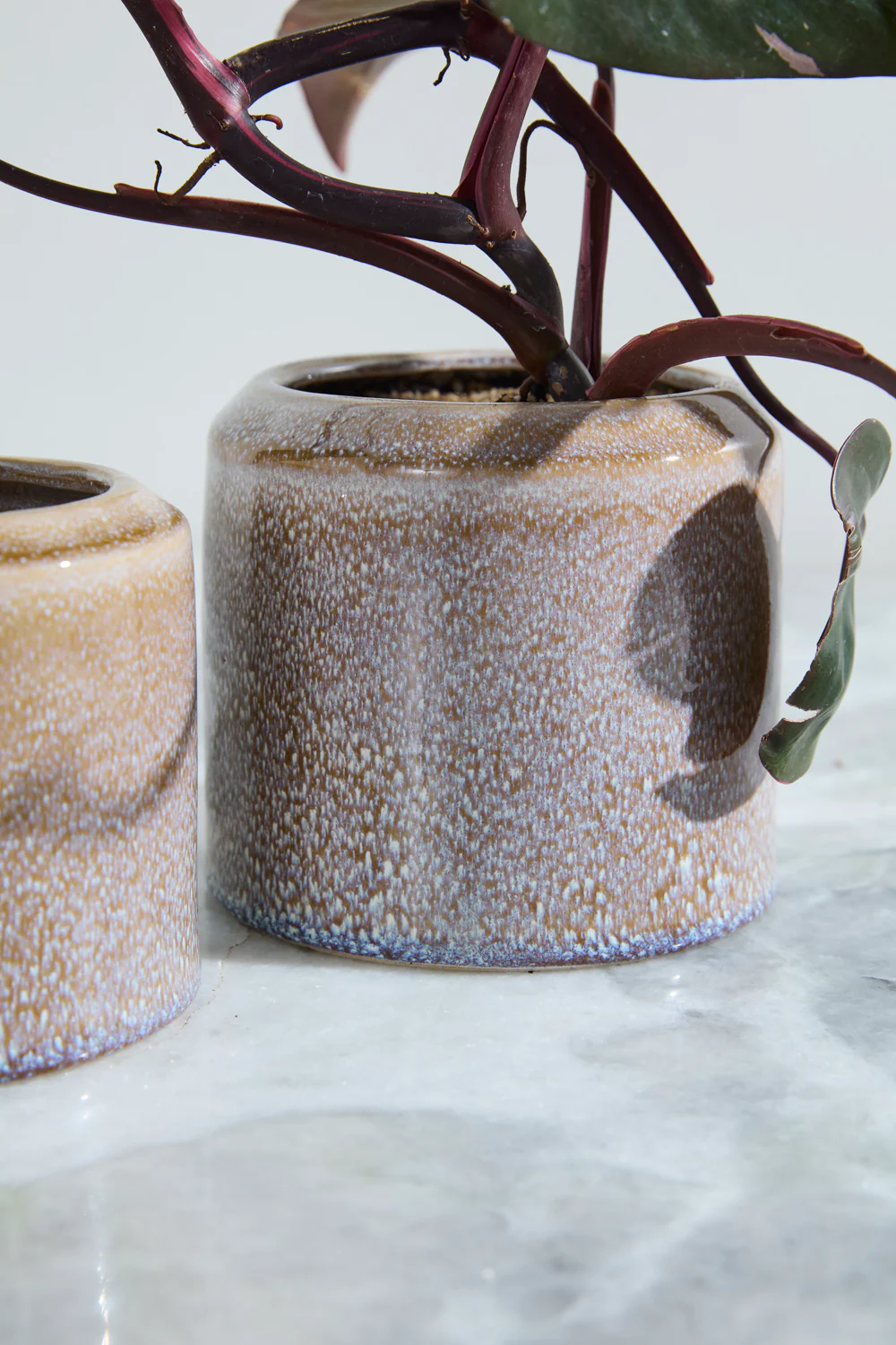 Arden Pot Set of 8 By Accent Decor