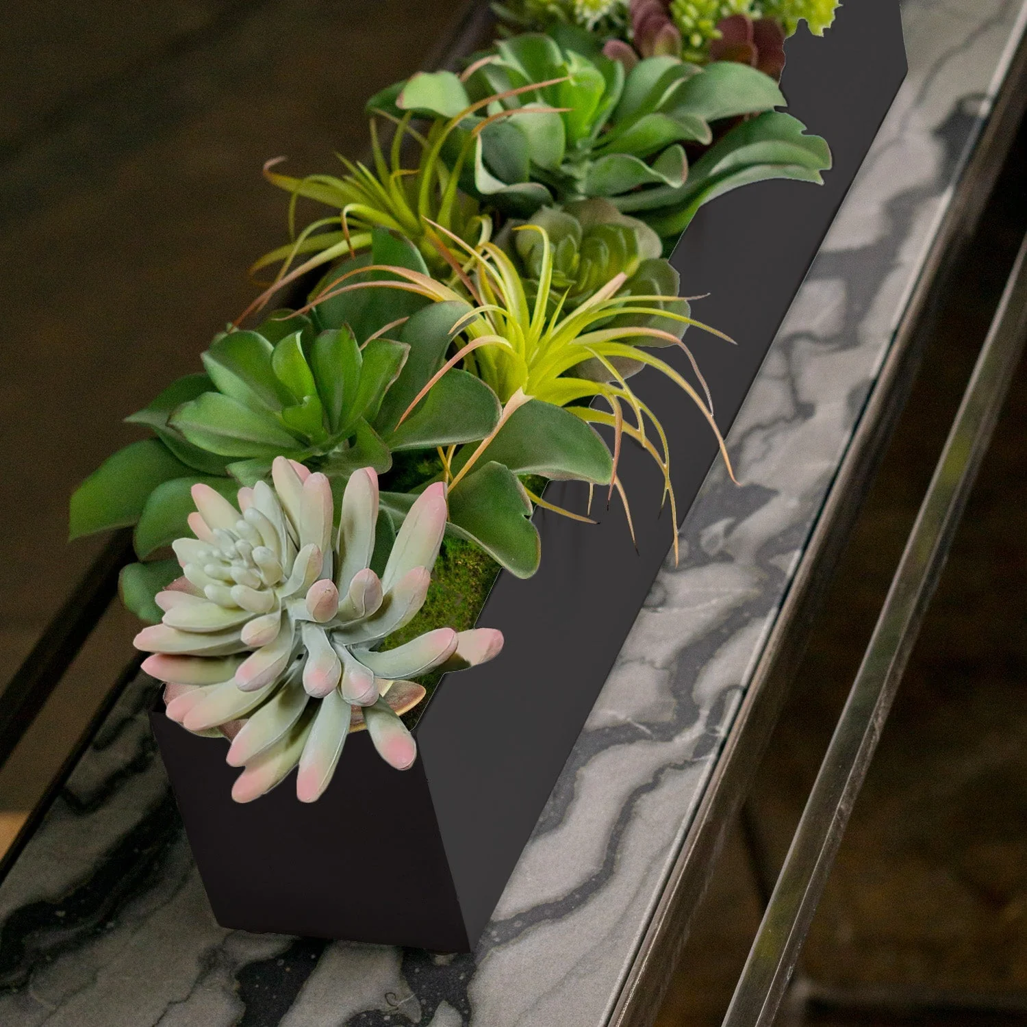 Arid Mix 1 in Painted Black Iron Table Planter By Gold Leaf - Image 2