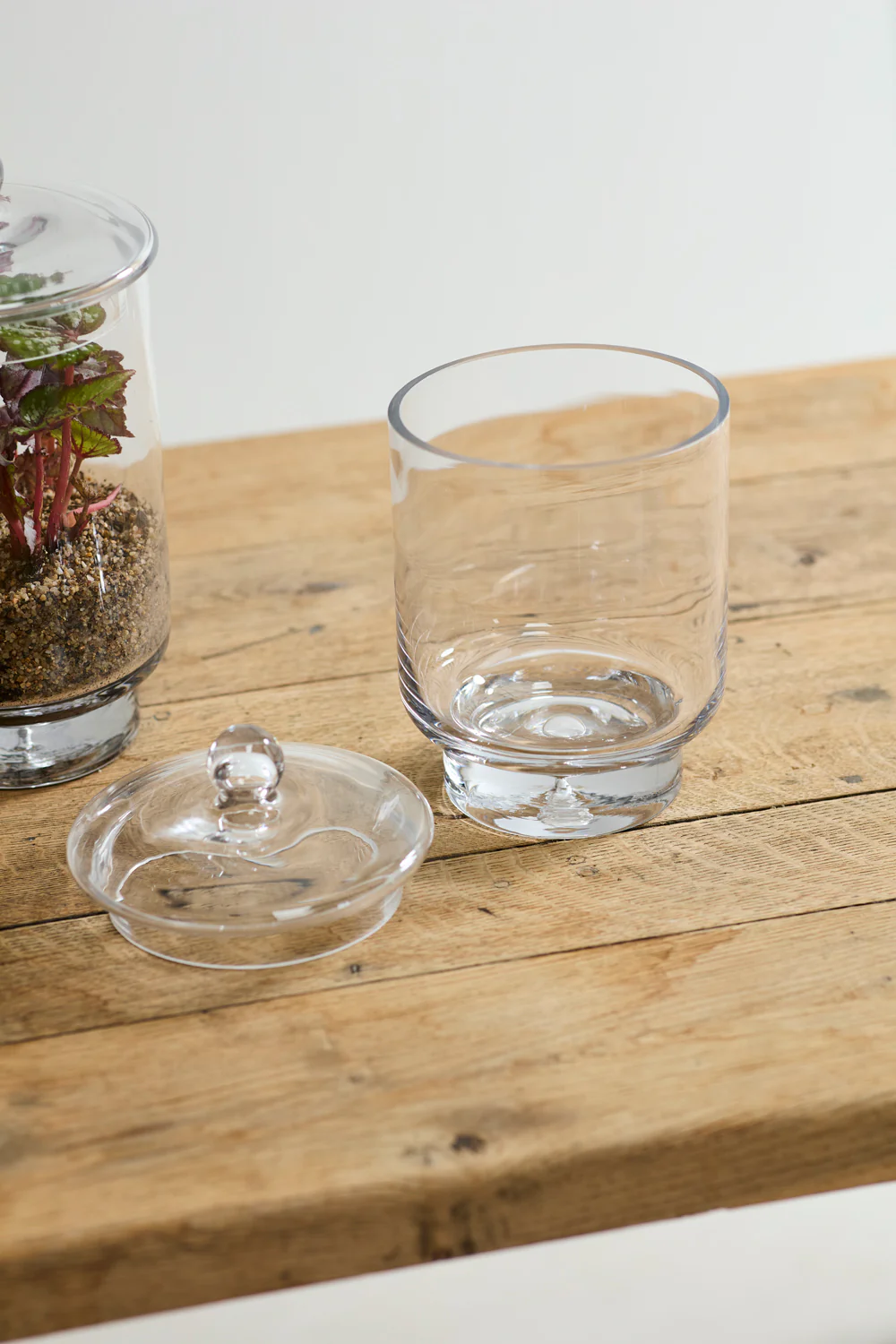 Asteridge Terrarium Set of 2 By Accent Decor - Image 3