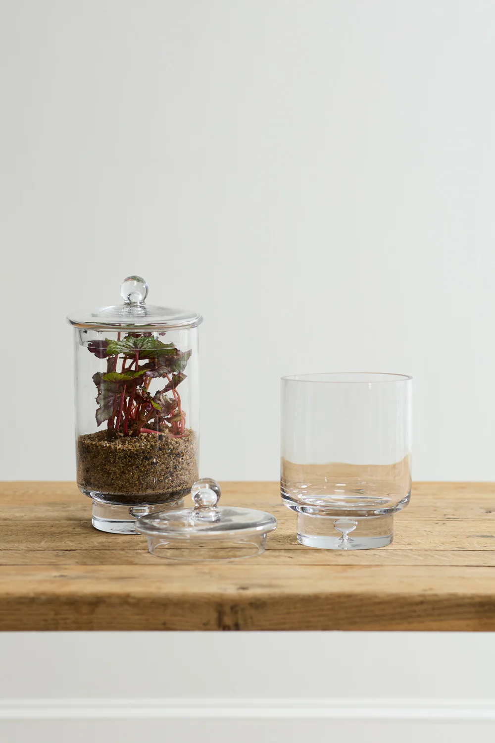 Asteridge Terrarium Set of 2 By Accent Decor - Image 4