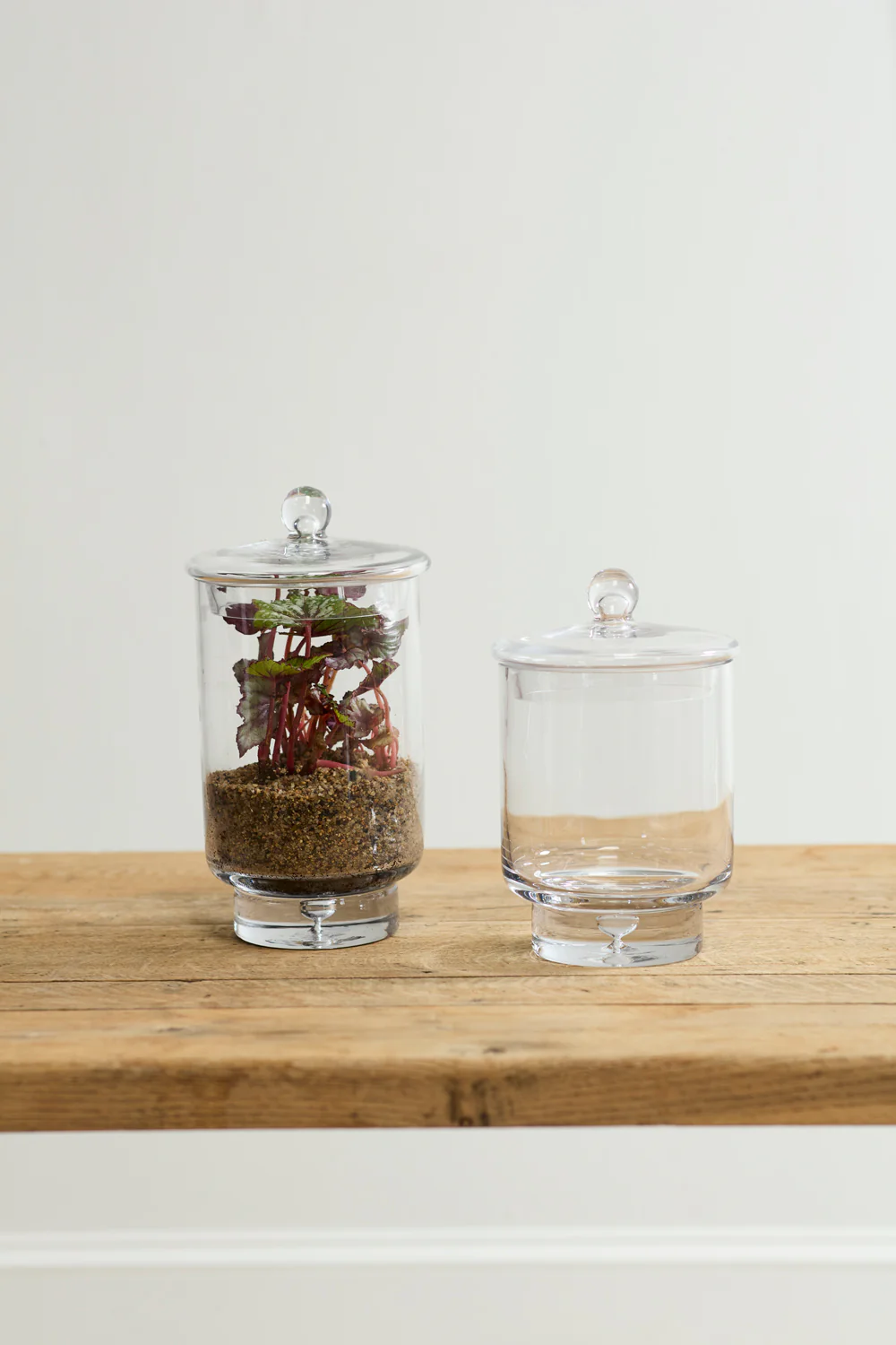 Asteridge Terrarium Set of 2 By Accent Decor - Image 5