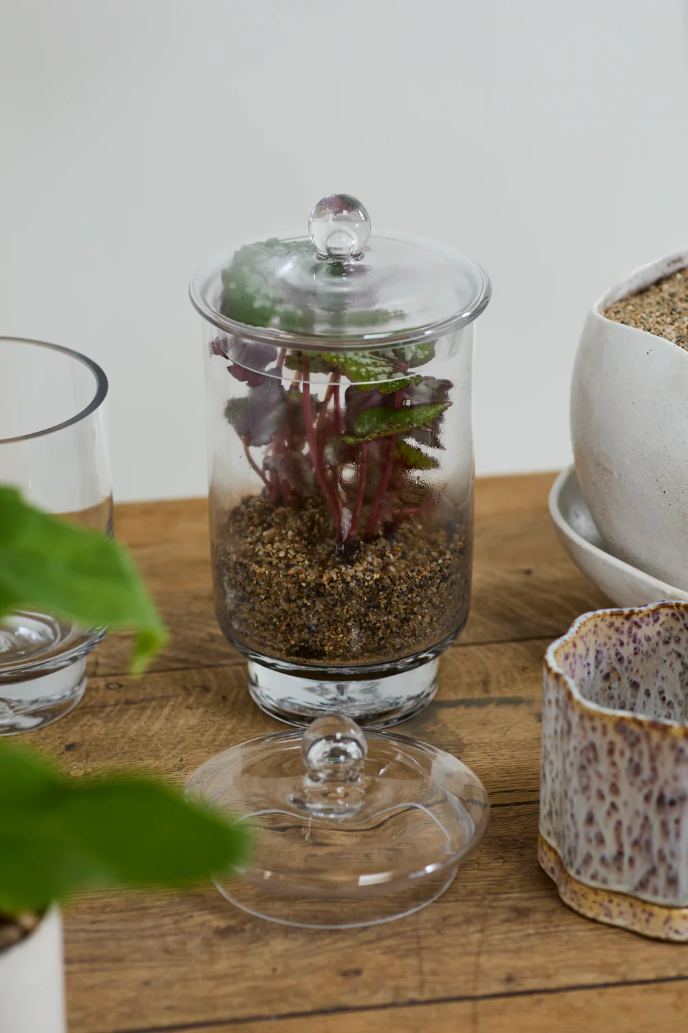 Asteridge Terrarium Set of 2 By Accent Decor - Image 9
