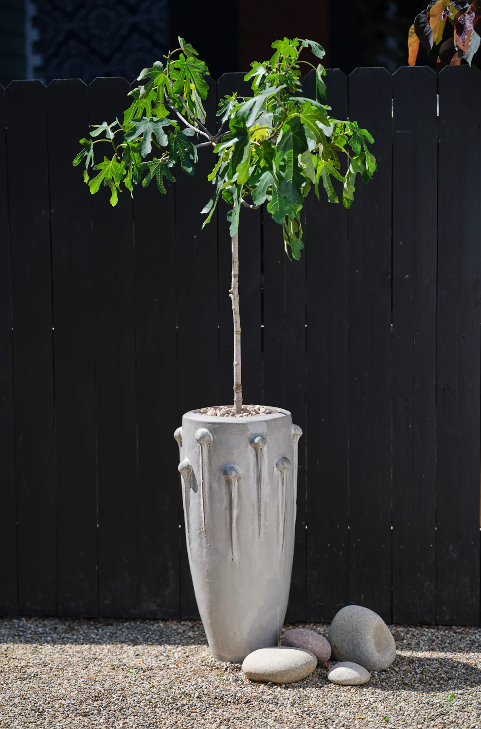Ava Planter By Accent Decor - Image 6