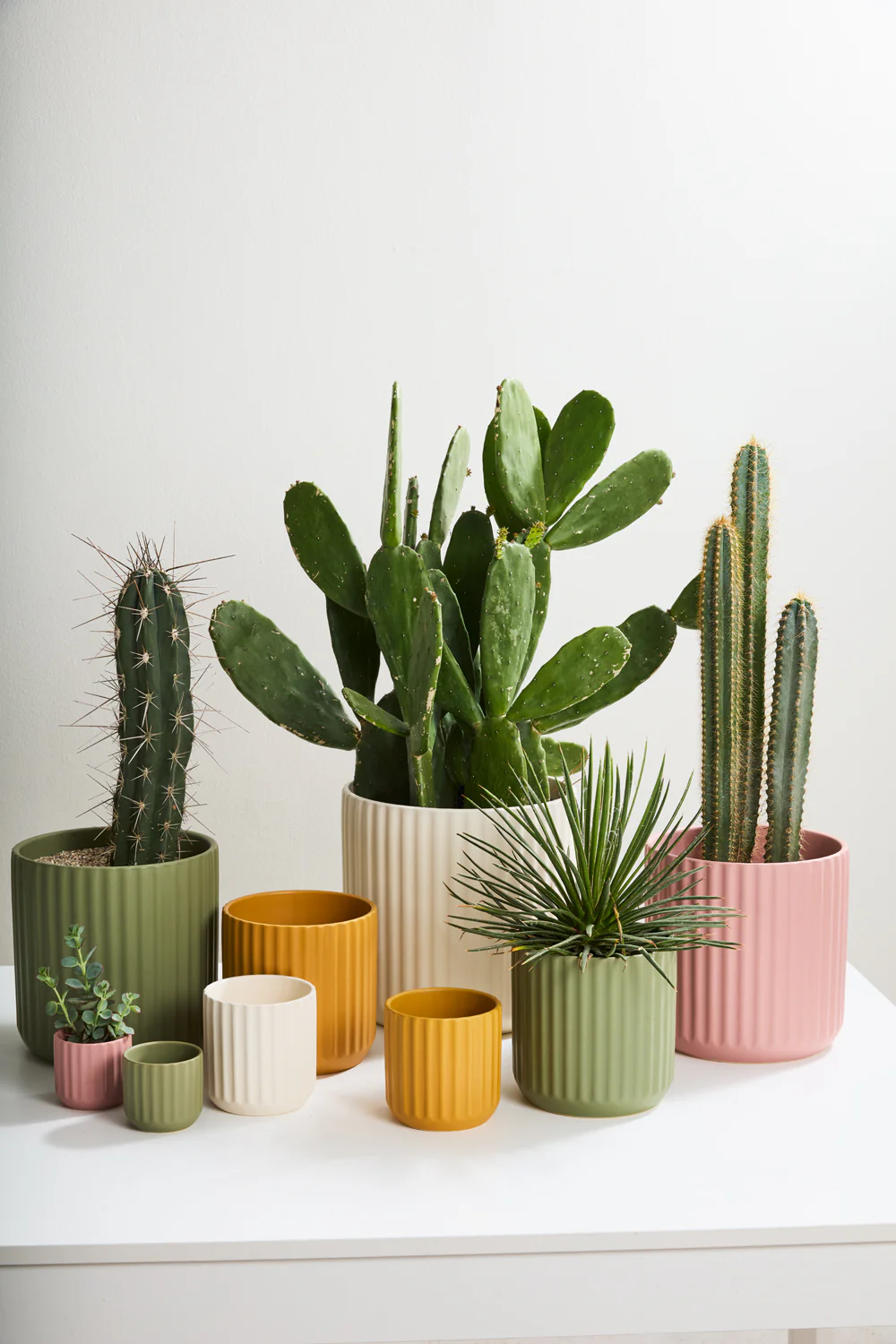 Beam Pot By Accent Decor