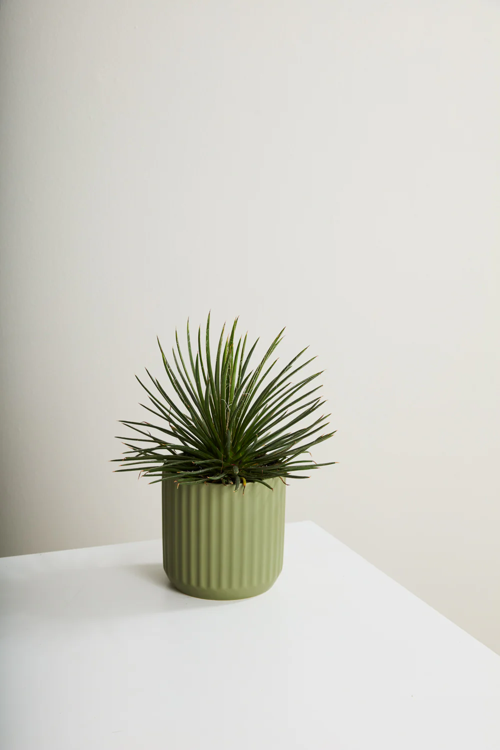 Beam Pot By Accent Decor - Image 44