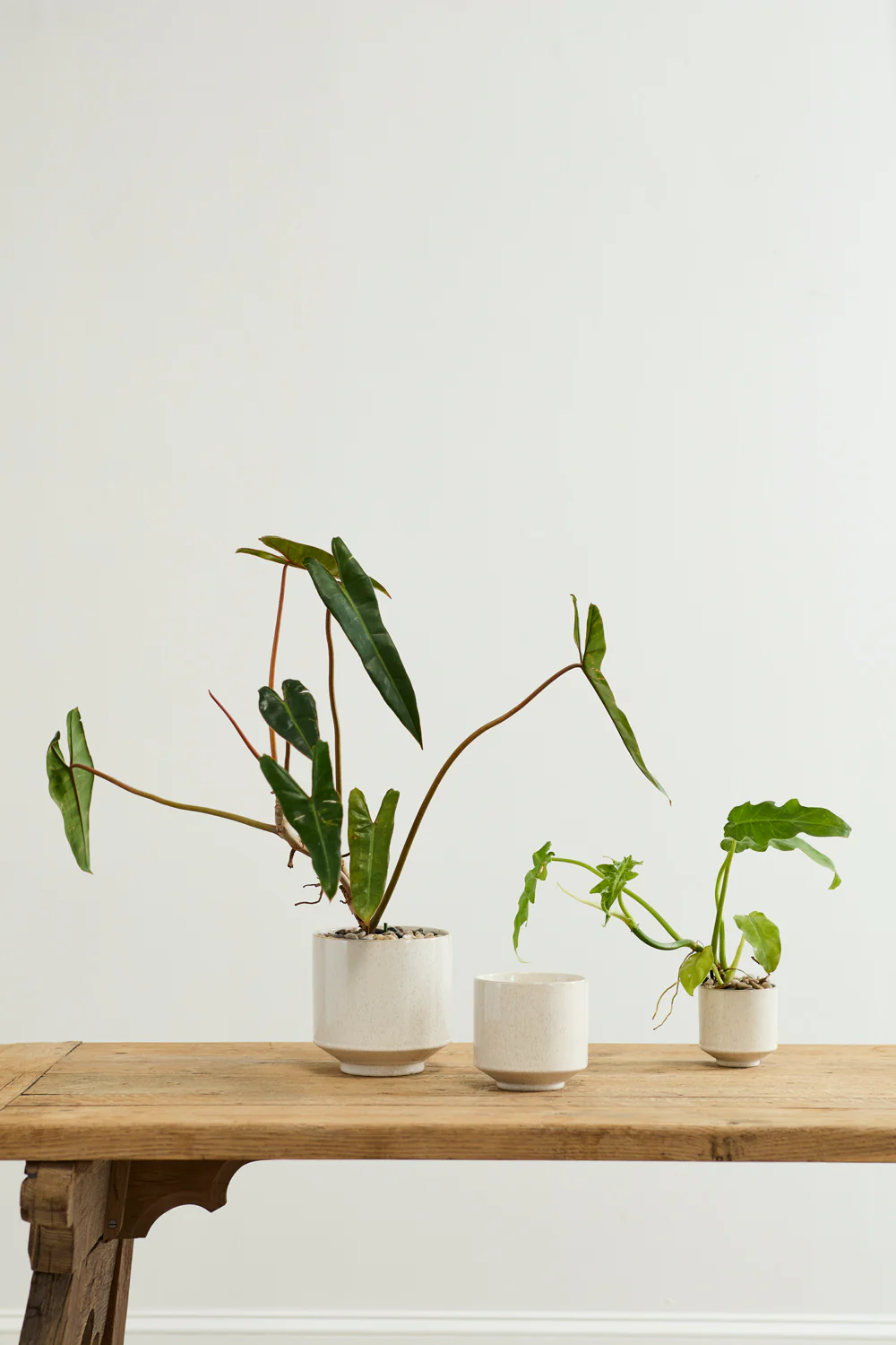Bello Pot Set of 8 By Accent Decor - Image 4