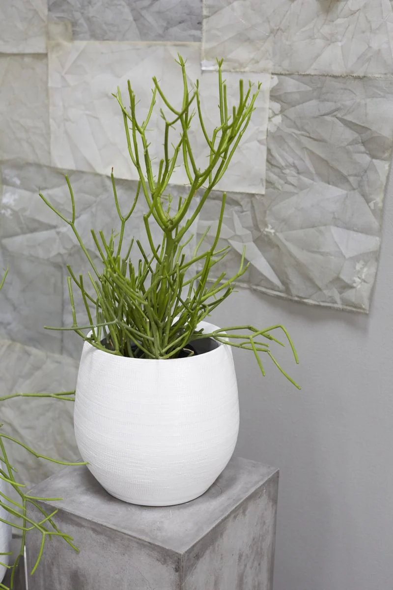Benji Pot 14.5" x 13.5" White By Accent Decor - Image 6