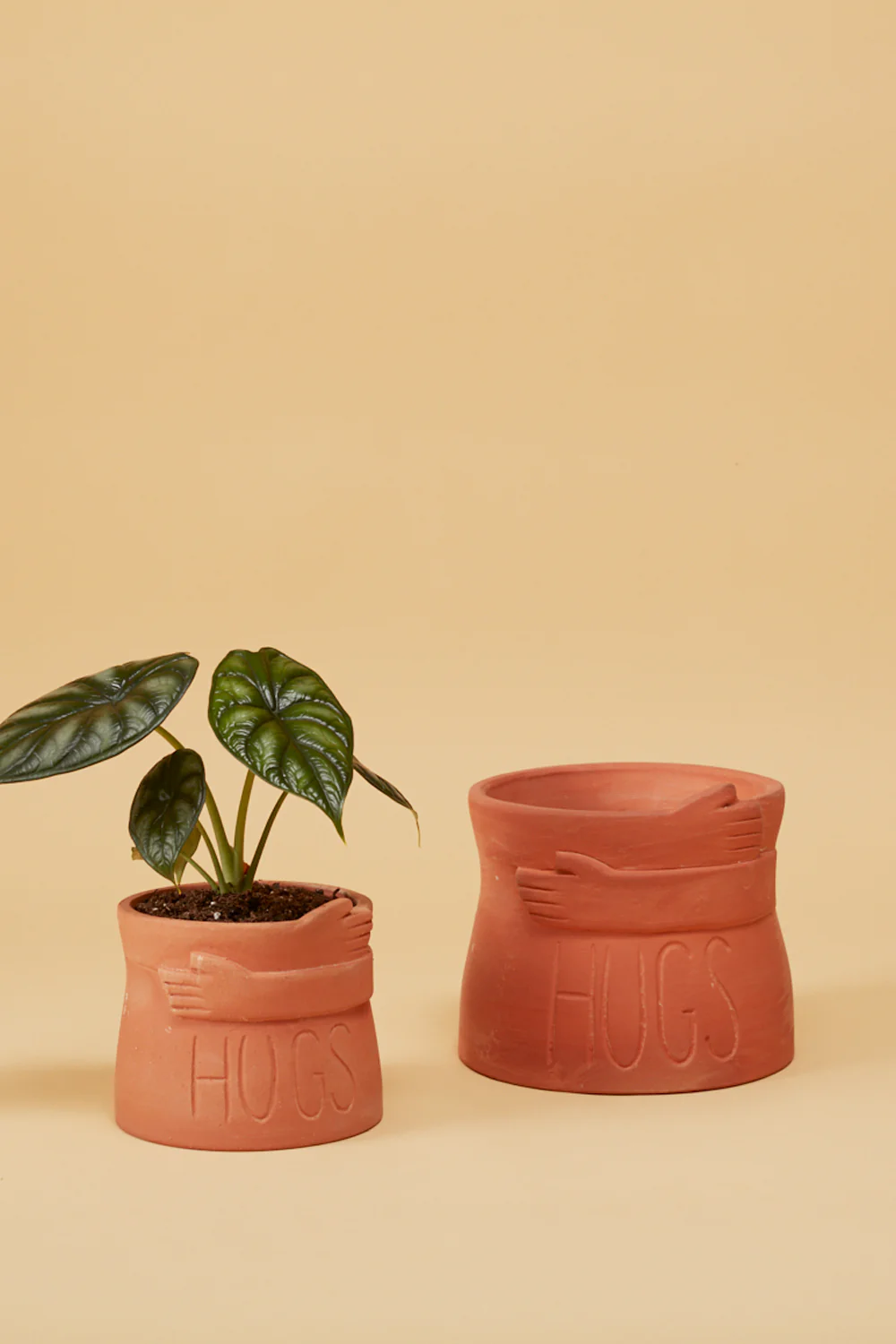 Big Hugs Pot Set of 4 By Accent Decor