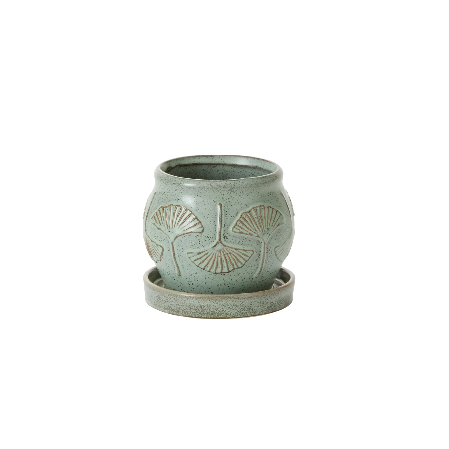 Biloba Pot with Saucer Set of 2 By Accent Decor - Image 2