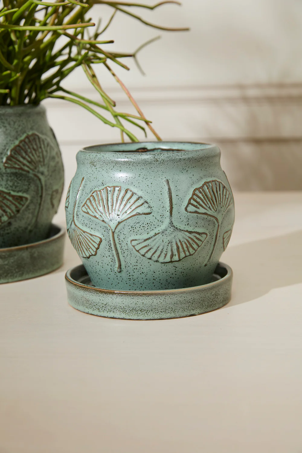 Biloba Pot with Saucer Set of 2 By Accent Decor - Image 4