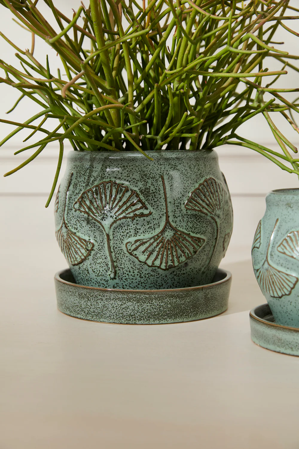 Biloba Pot with Saucer Set of 2 By Accent Decor - Image 9