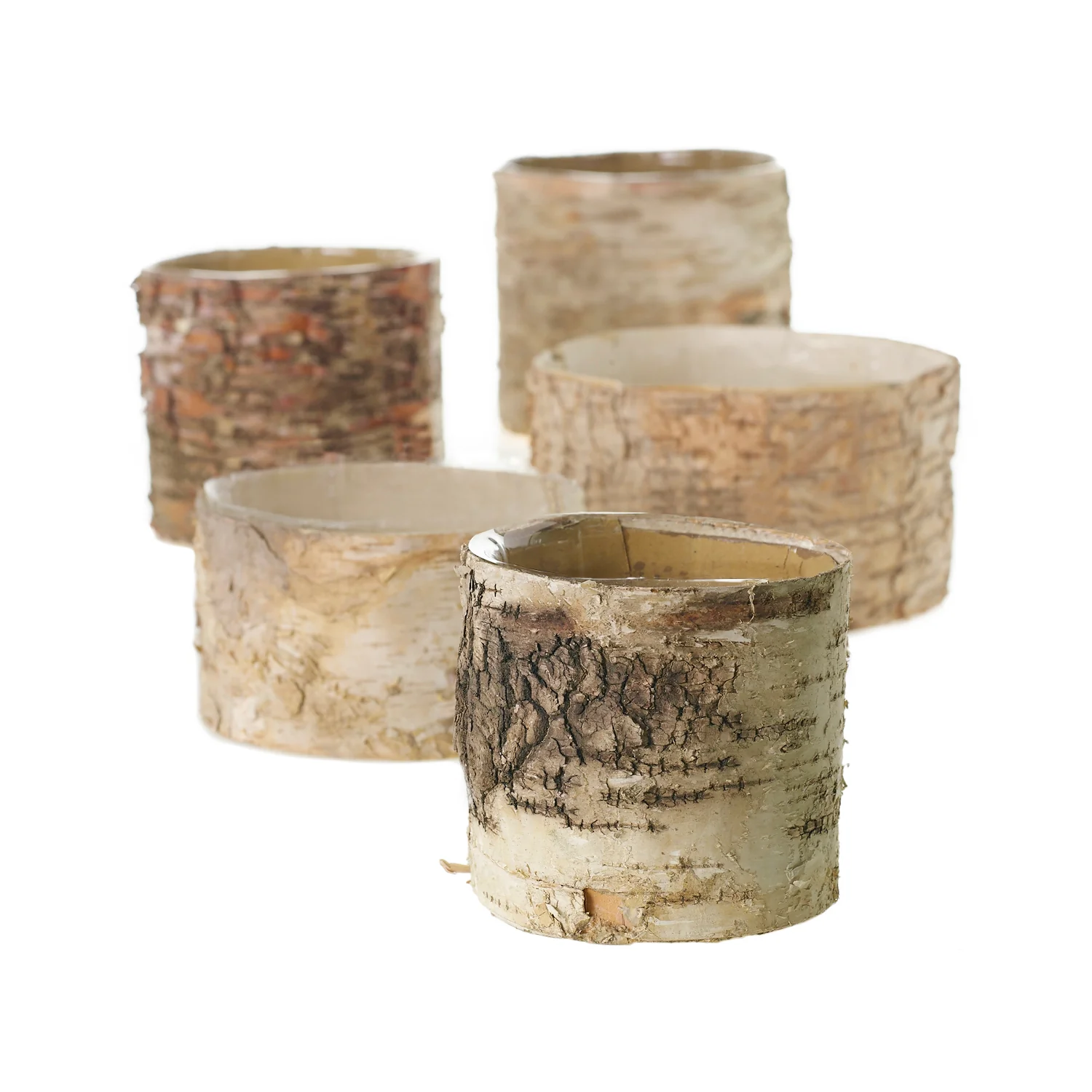 Birch Cylinder Set of 8 By Accent Decor - Image 6
