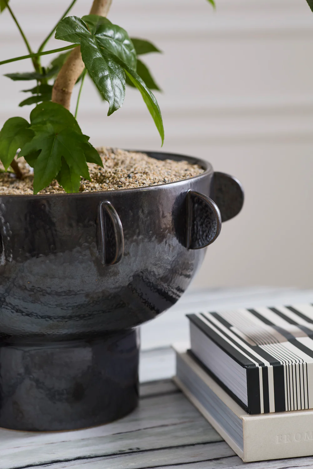 Black Reverie Bowl By Accent Decor