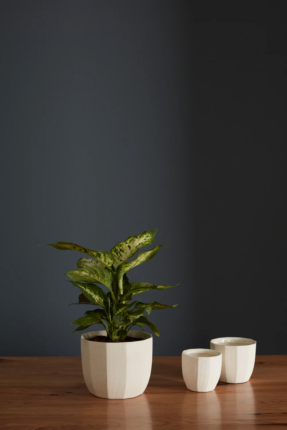 Bona Pot Set of 8 By Accent Decor - Image 3