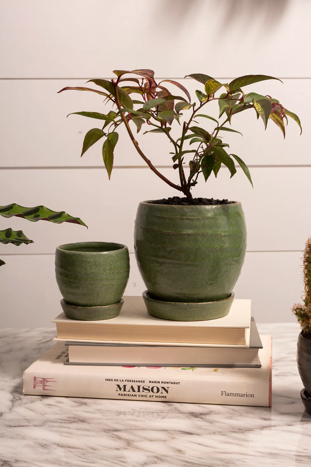 Bradford Pot Set of 8 By Accent Decor - Image 14