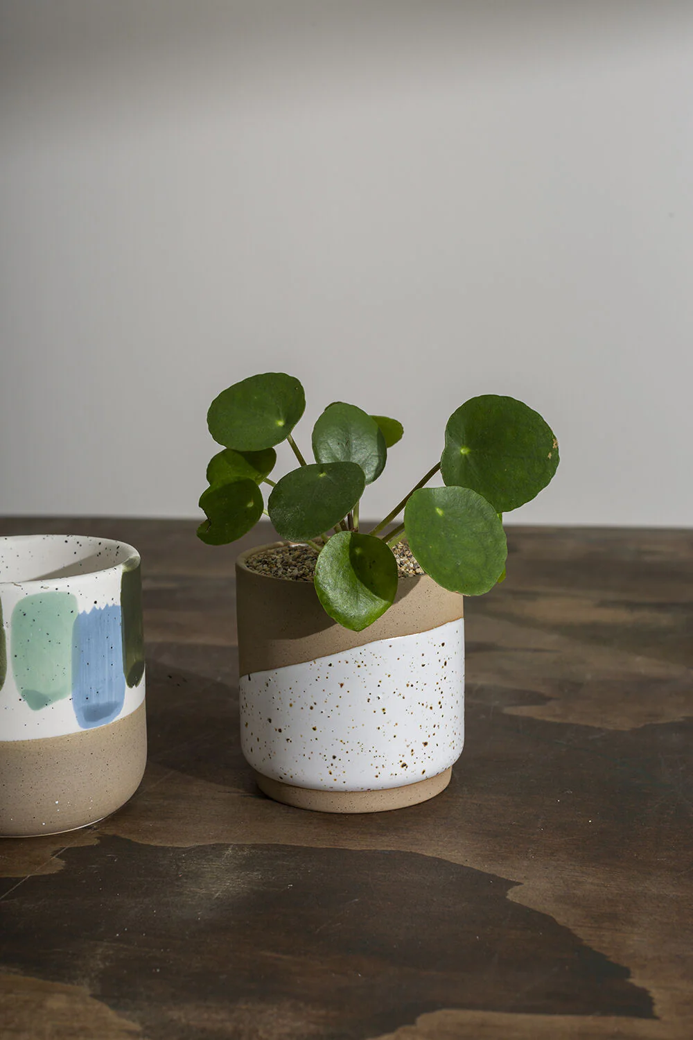 Cafe Mug Set of 8 By Accent Decor