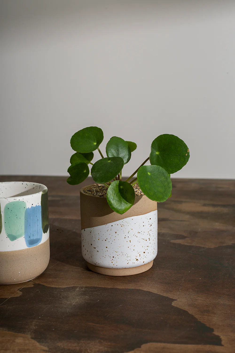 Cafe Mug Set of 8 By Accent Decor - Image 3