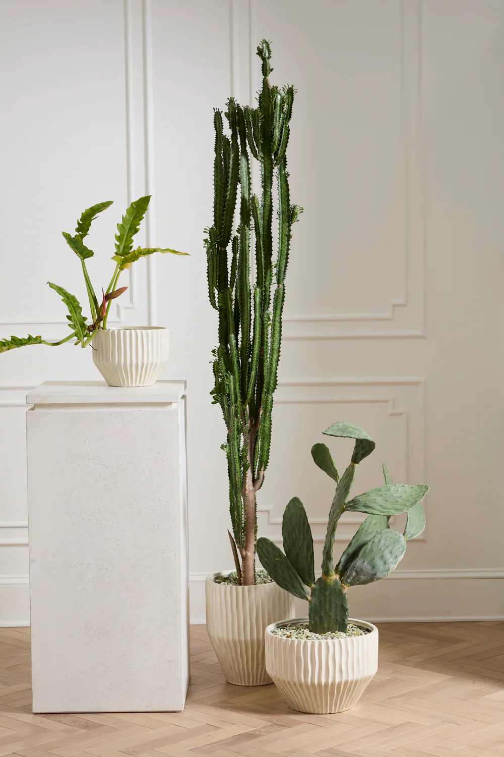 Cameron Pot By Accent Decor - Image 3