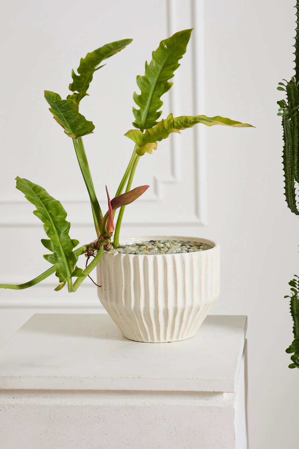 Cameron Pot By Accent Decor - Image 4