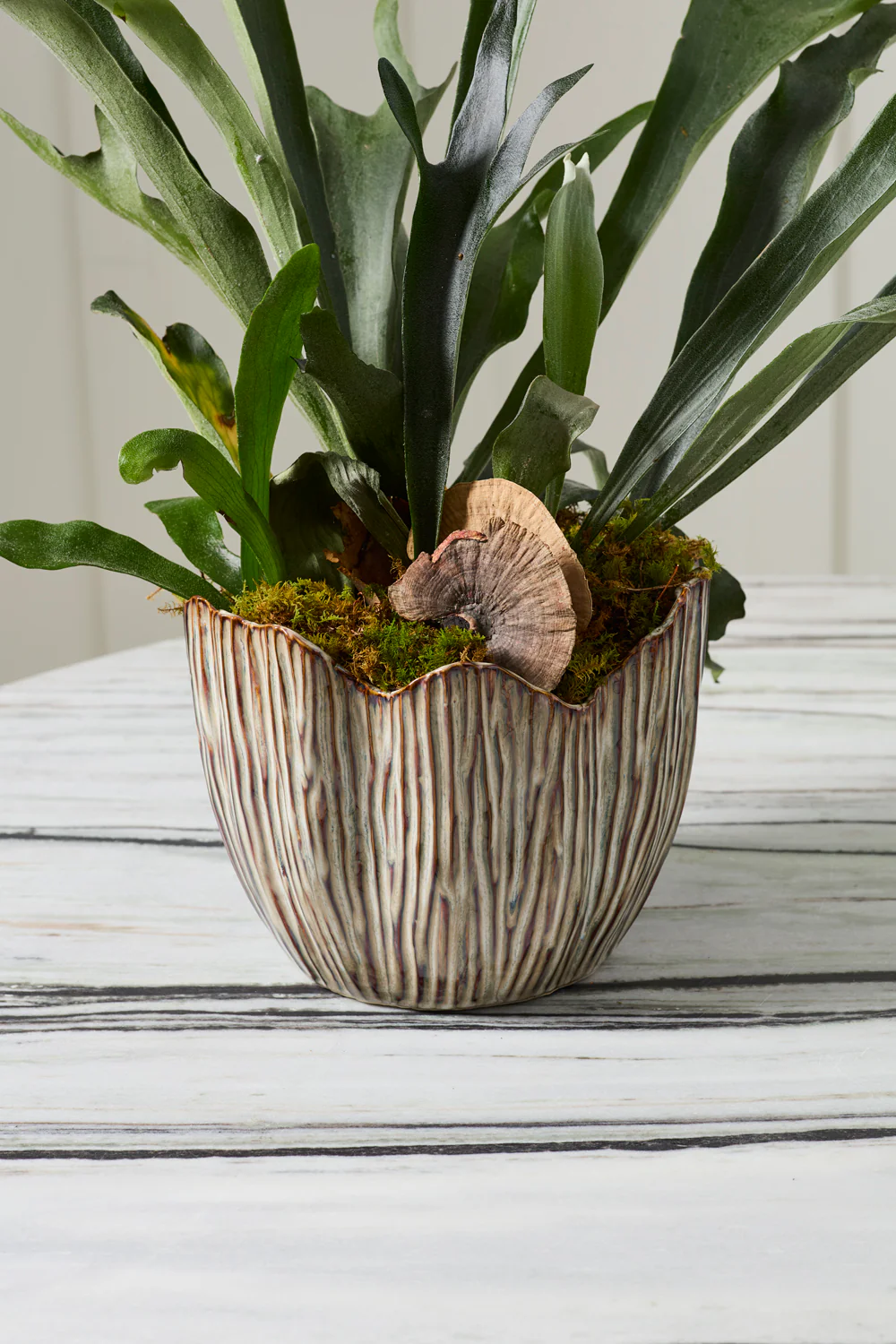 Capira Pot Set of 2 By Accent Decor - Image 8