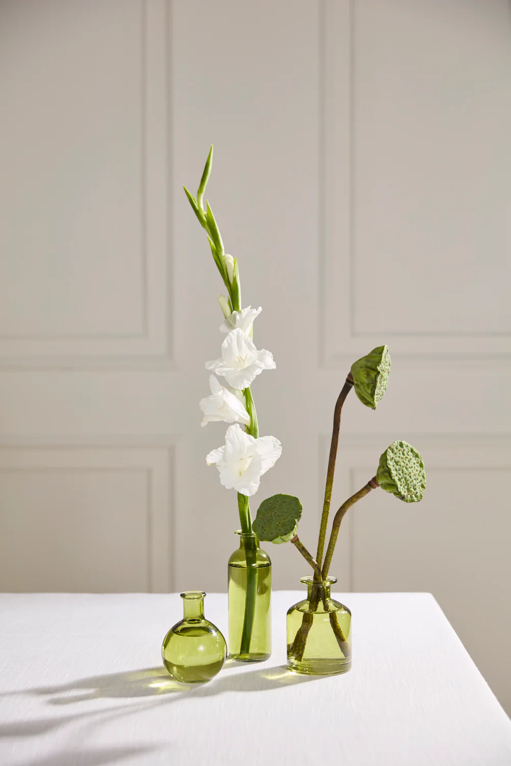 Carlotta Budvase - Set of 12 By Accent Decor - Image 10