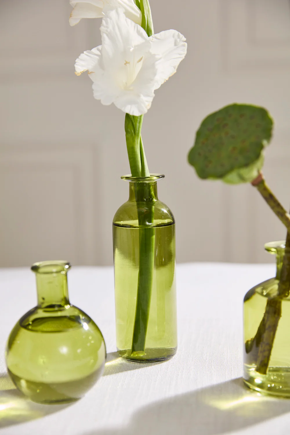 Carlotta Budvase - Set of 12 By Accent Decor - Image 12