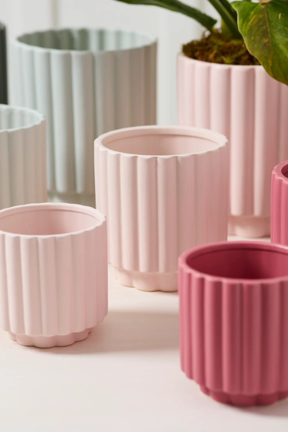 Carmen Pot Set of 8 By Accent Decor