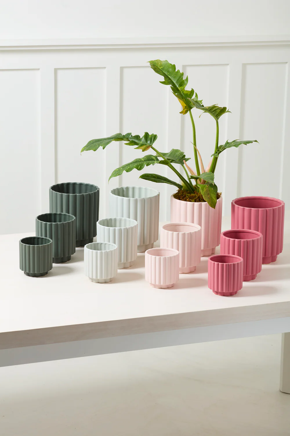 Carmen Pot Set of 8 By Accent Decor - Image 3