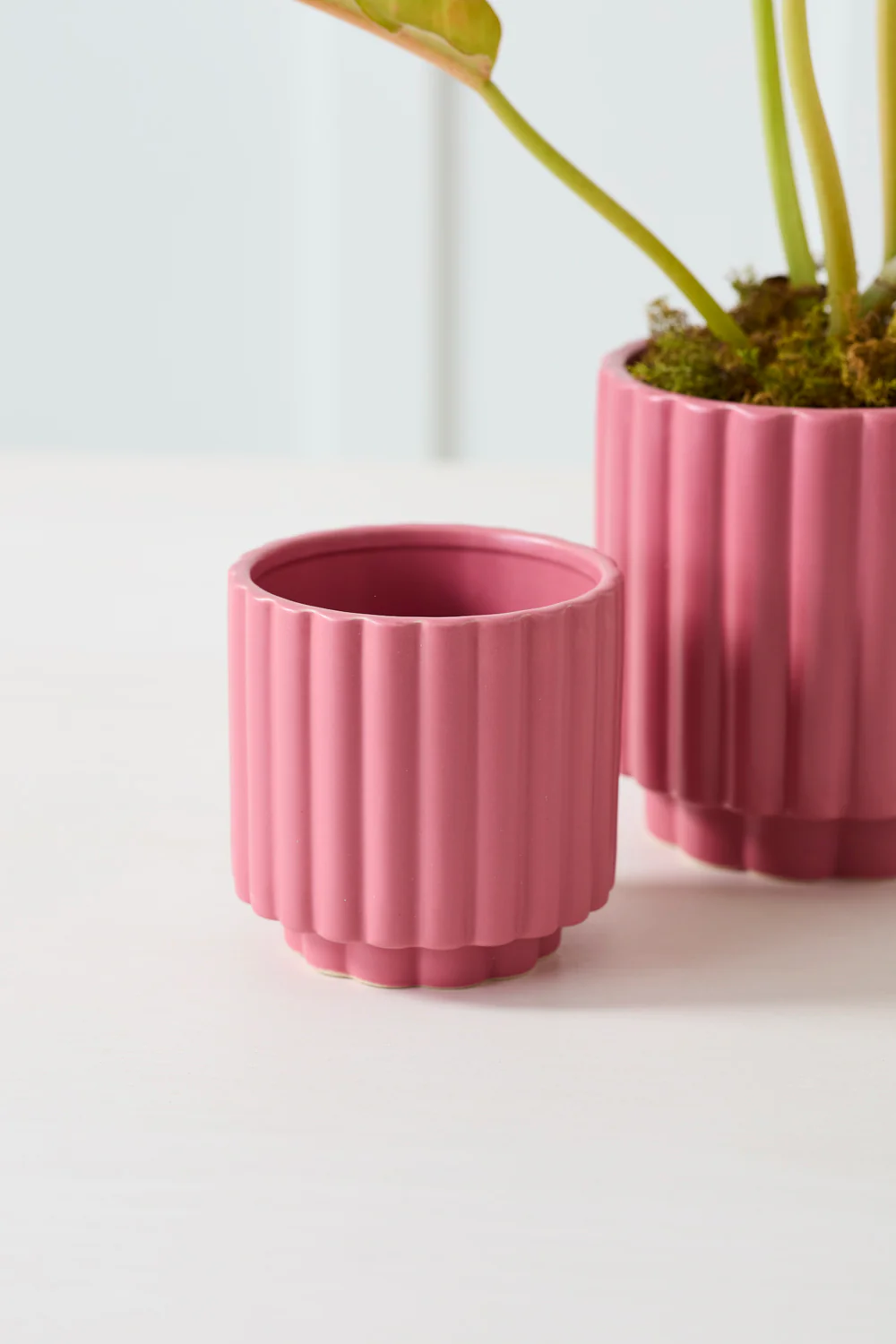 Carmen Pot Set of 8 By Accent Decor - Image 30