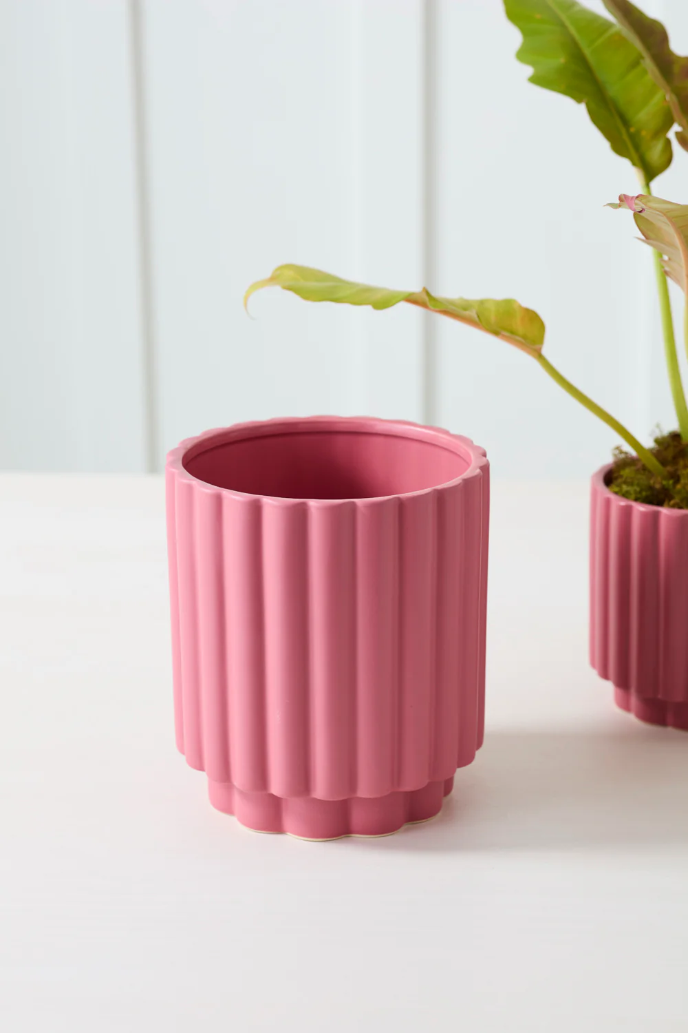 Carmen Pot Set of 8 By Accent Decor - Image 36