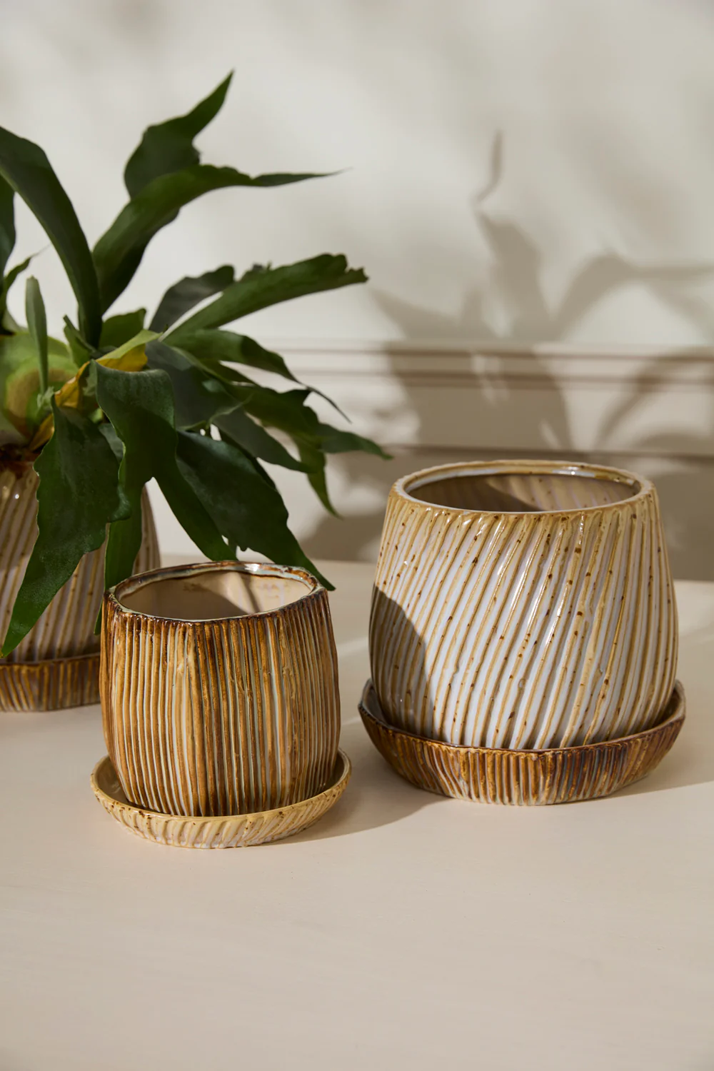 Carved Pot with Saucer Set of 2 By Accent Decor - Image 3