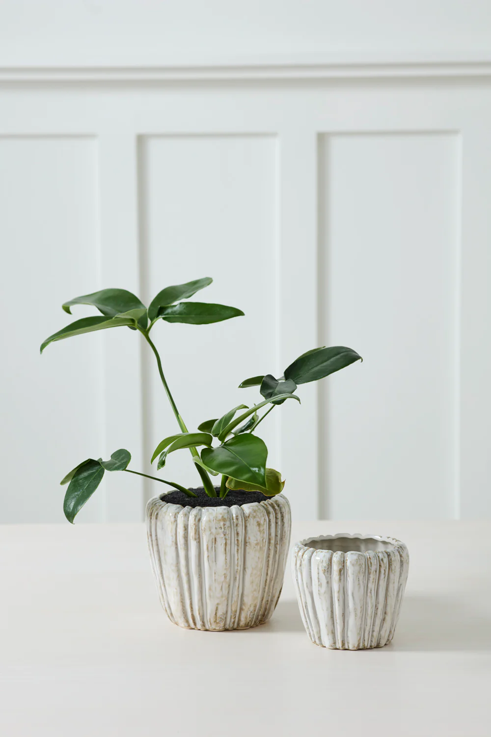 Cedric Pot Set of 8 By Accent Decor - Image 3