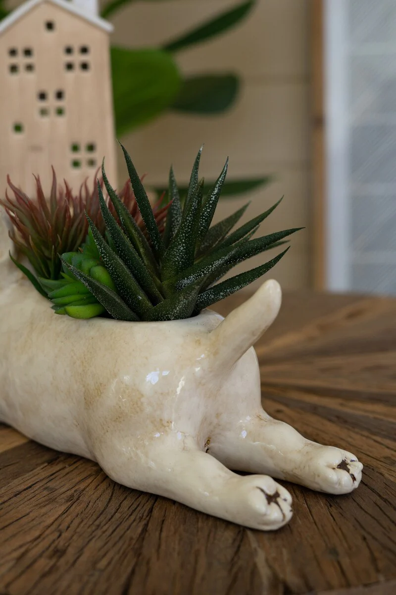 Ceramic Bull Terrier Planter (Min 2) By Kalalou - Image 2