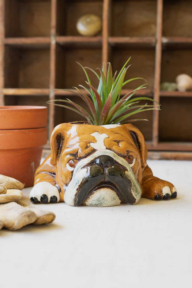 Ceramic Bulldog Planter (Min 2) By Kalalou