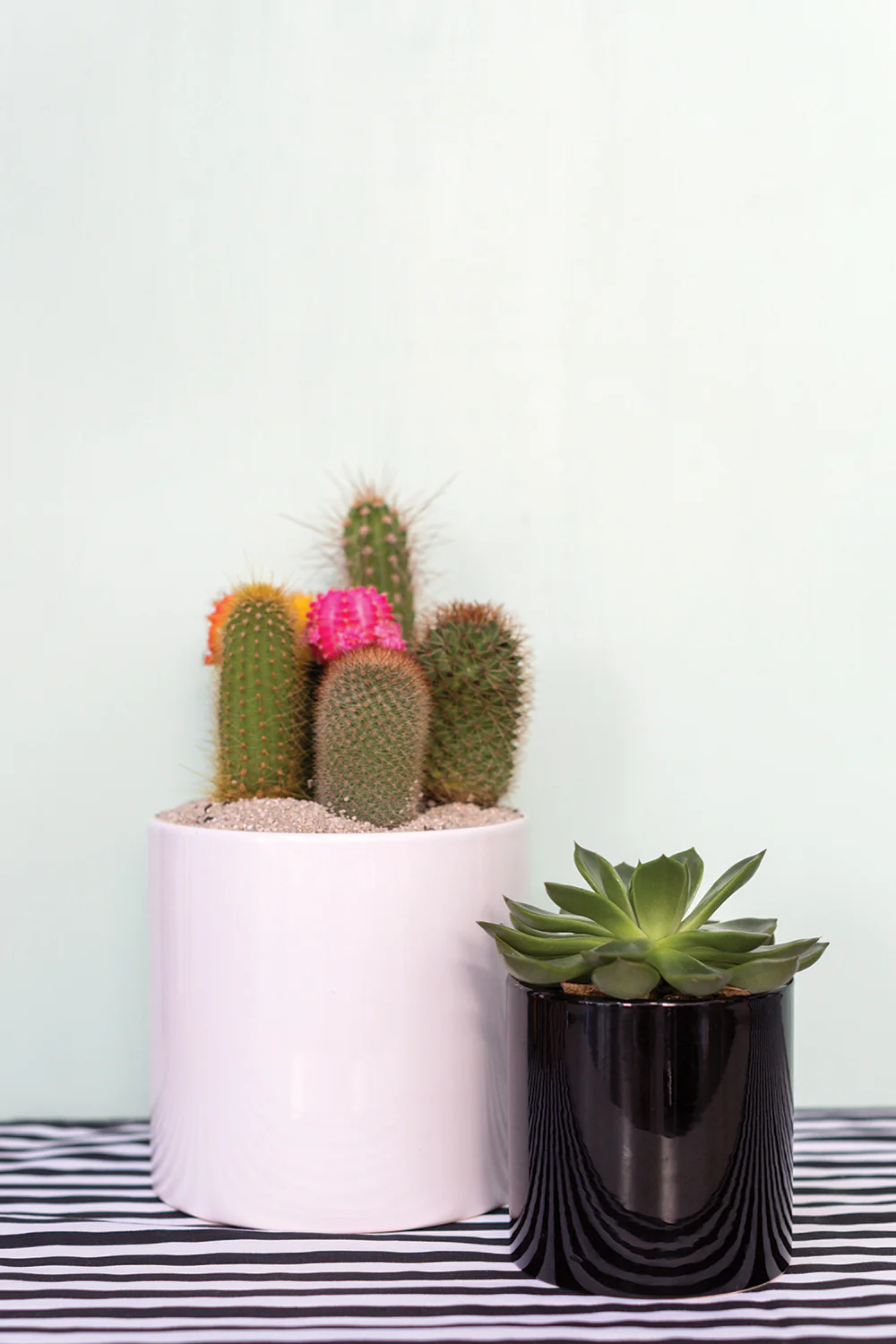 Cercle Pot Set of 8 By Accent Decor - Image 12