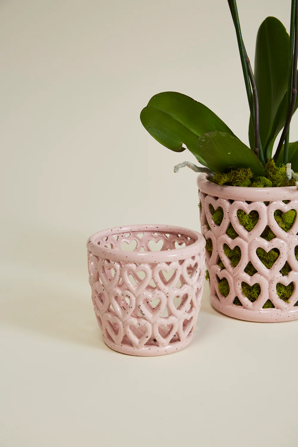 Cherished Hearts Orchid Pot Set of 4 By Accent Decor - Image 4