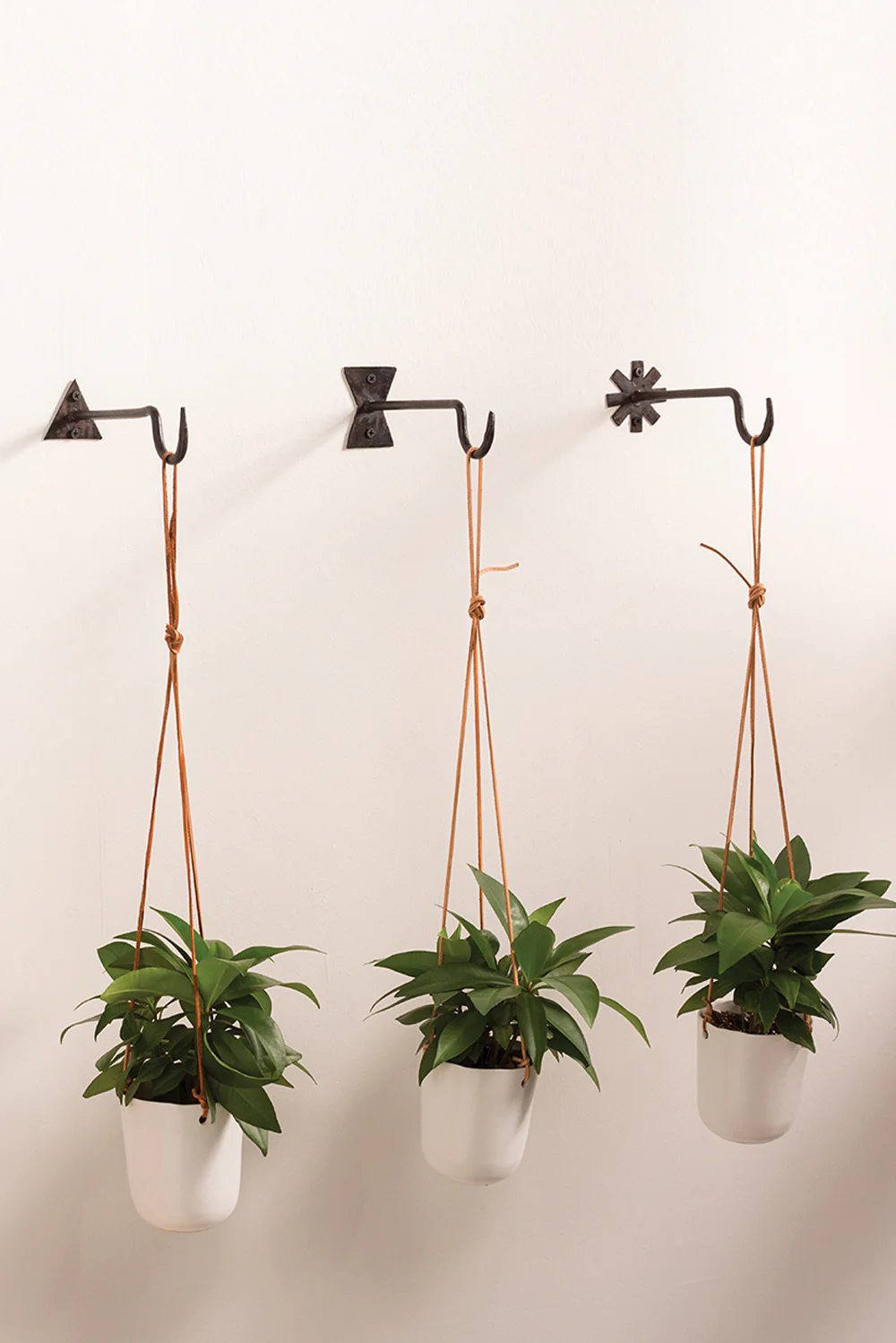 Chet Wall Hanger Set of 8 By Accent Decor - Image 2