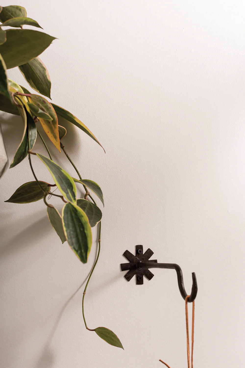 Chet Wall Hanger Set of 8 By Accent Decor - Image 8