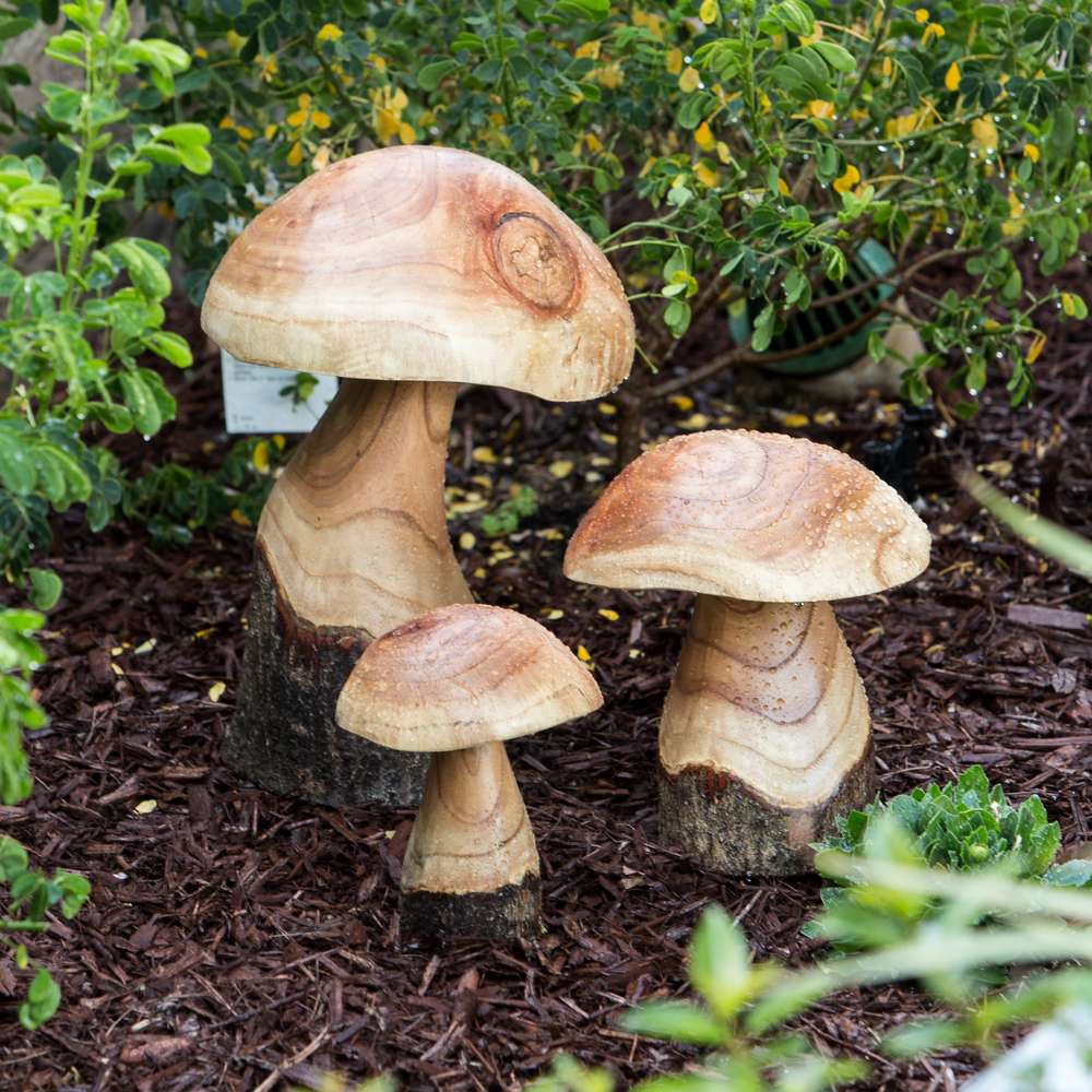 Chinaberry Mushroom Set of 4 By Garden Age Supply - Image 2