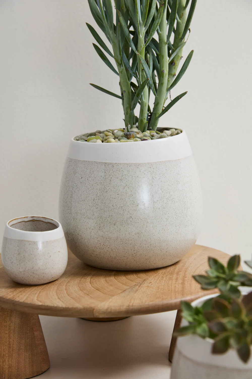 Choice Pot Set of 8 By Accent Decor - Image 17