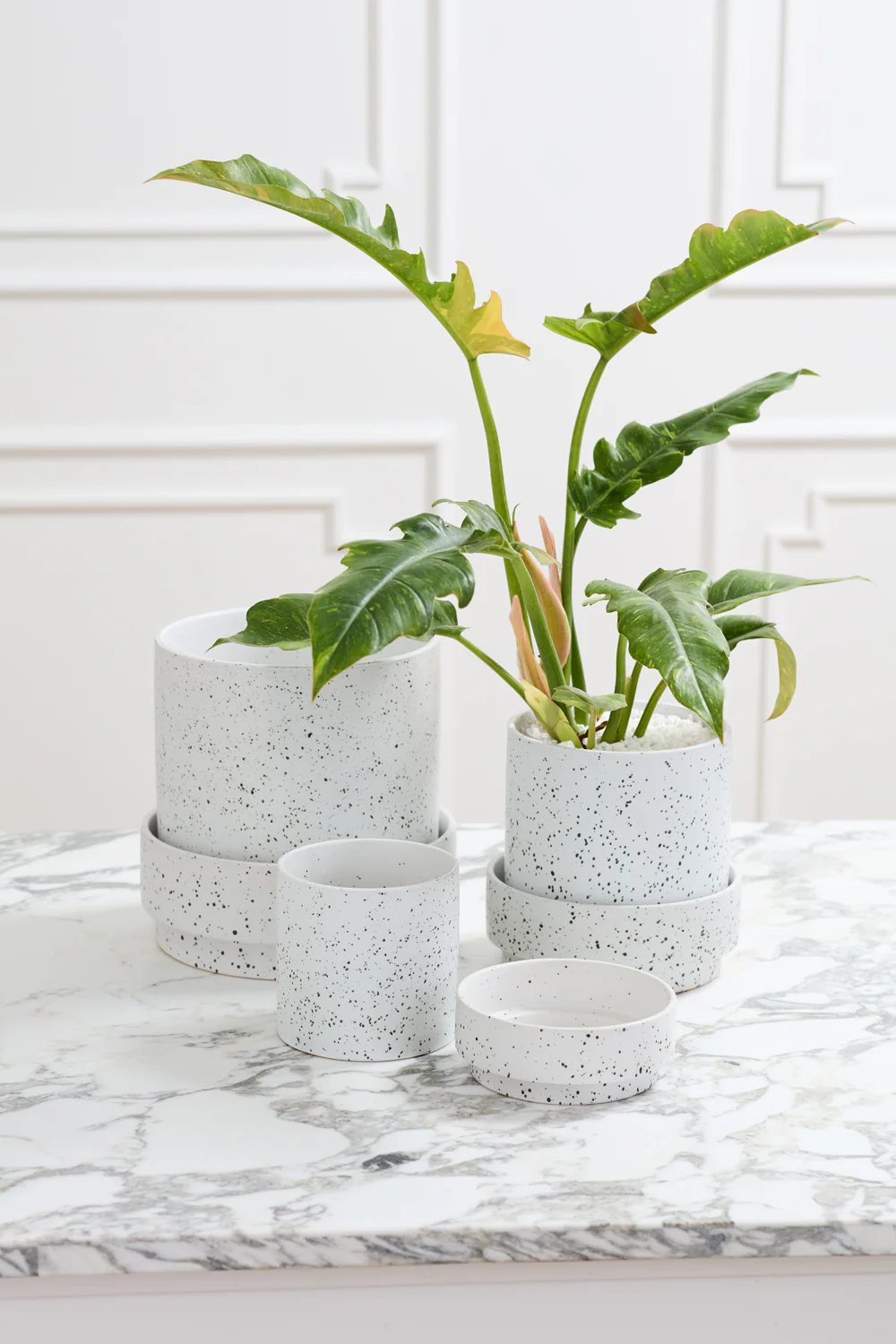 Claxton Pot with Saucer Set of 2 By Accent Decor - Image 5