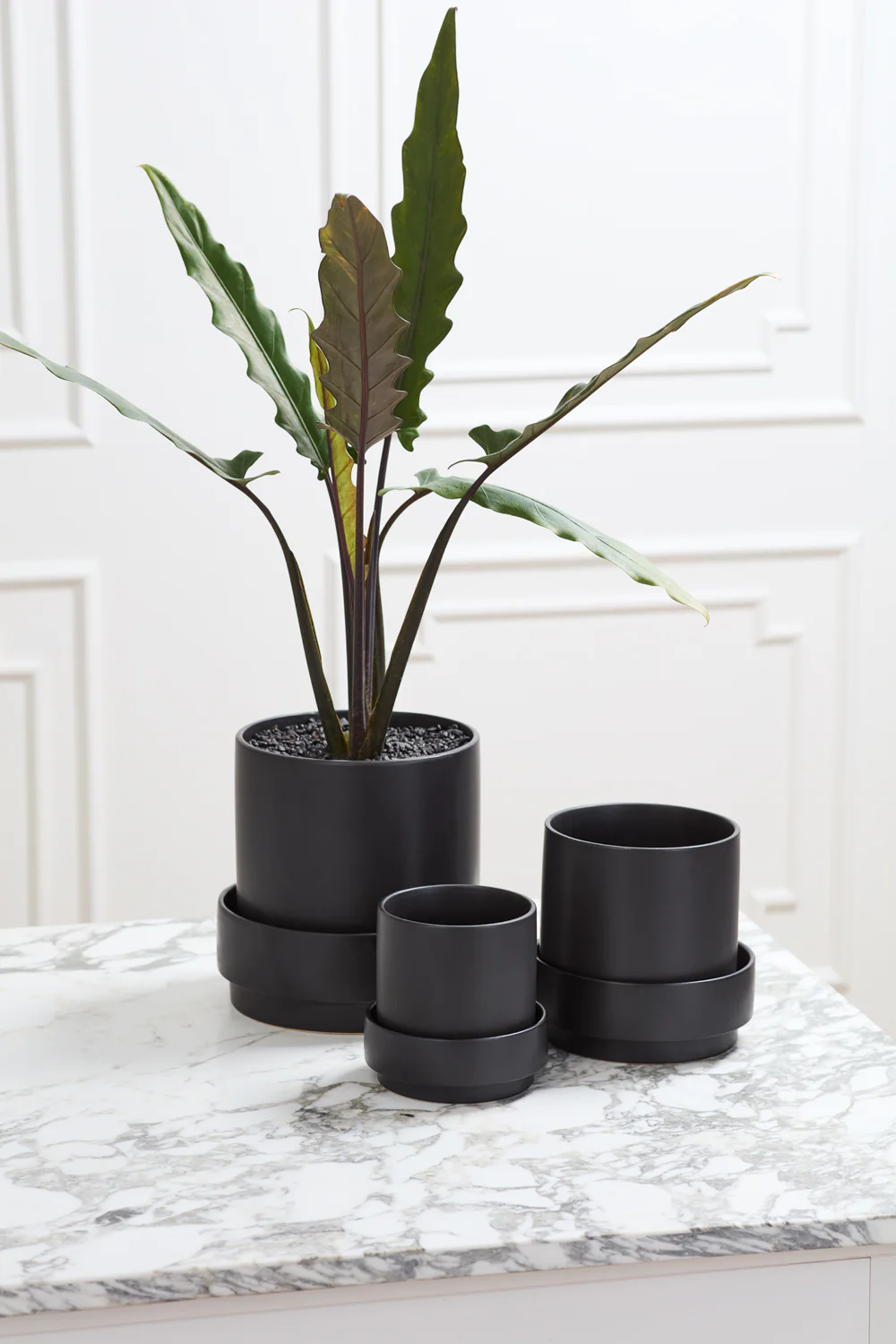 Claxton Pot with Saucer Set of 2 By Accent Decor - Image 6