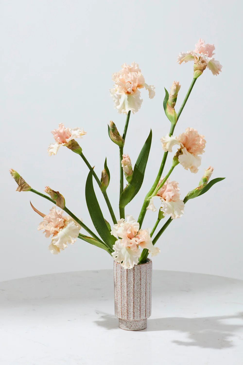 Corley Vase Set of 8 By Accent Decor - Image 6