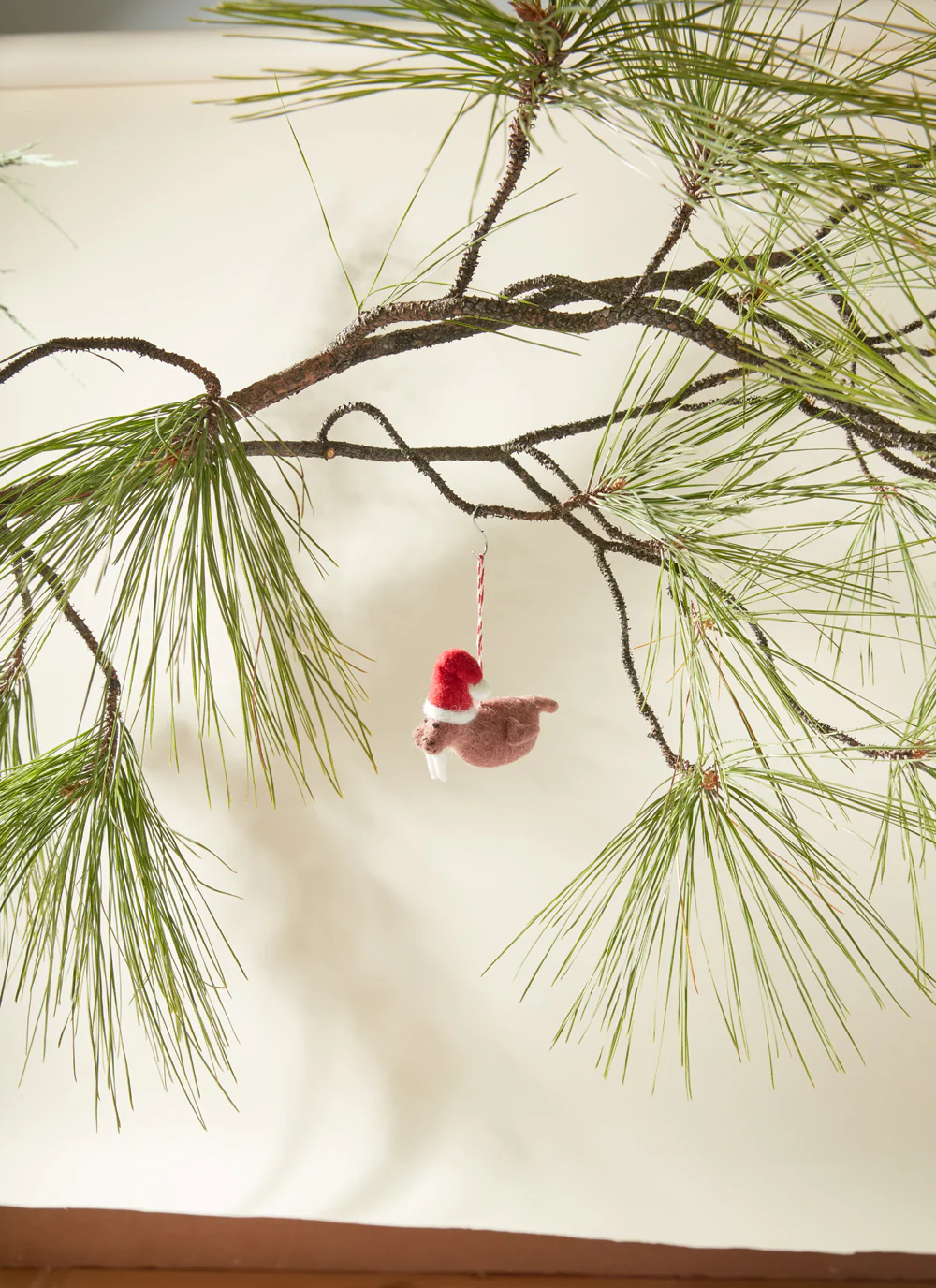 Cozy Weather Ornament Set of 8 By Accent Decor - Image 4