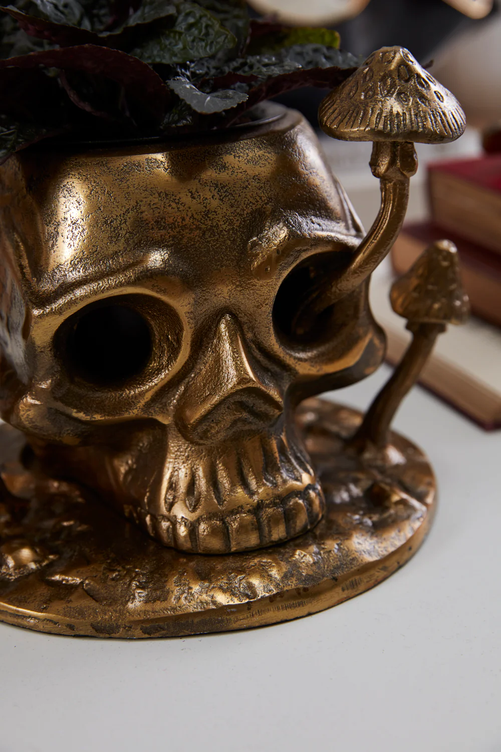 Cranium Pot By Accent Decor