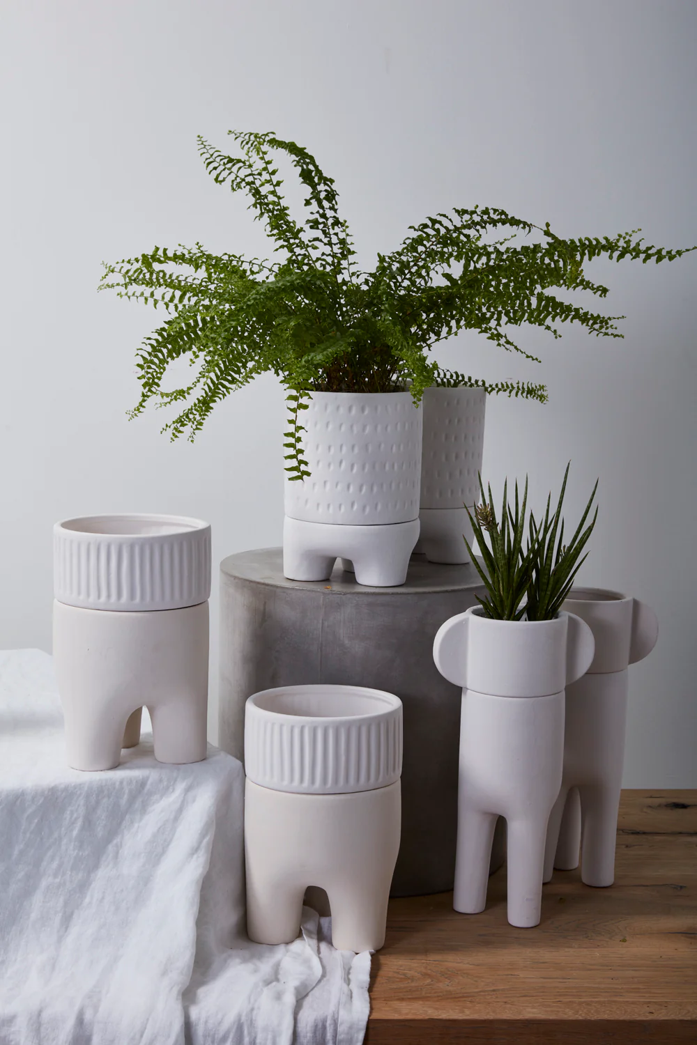 Dache Pot Set of 2 By Accent Decor